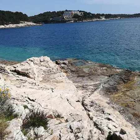 Centar Sonja Pula